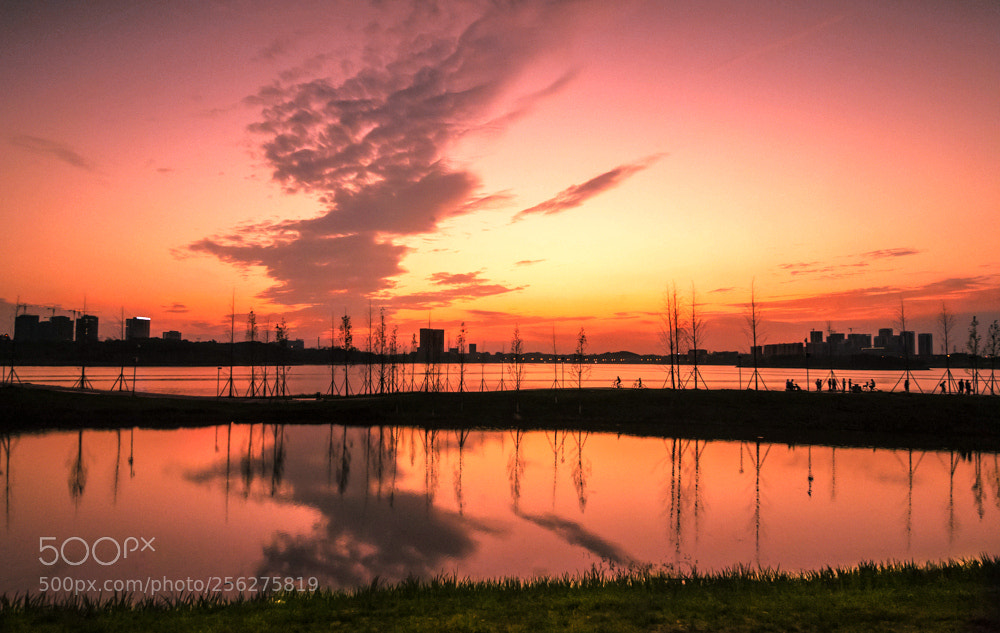 Nikon D4 sample photo. 成都科学城中湖 photography
