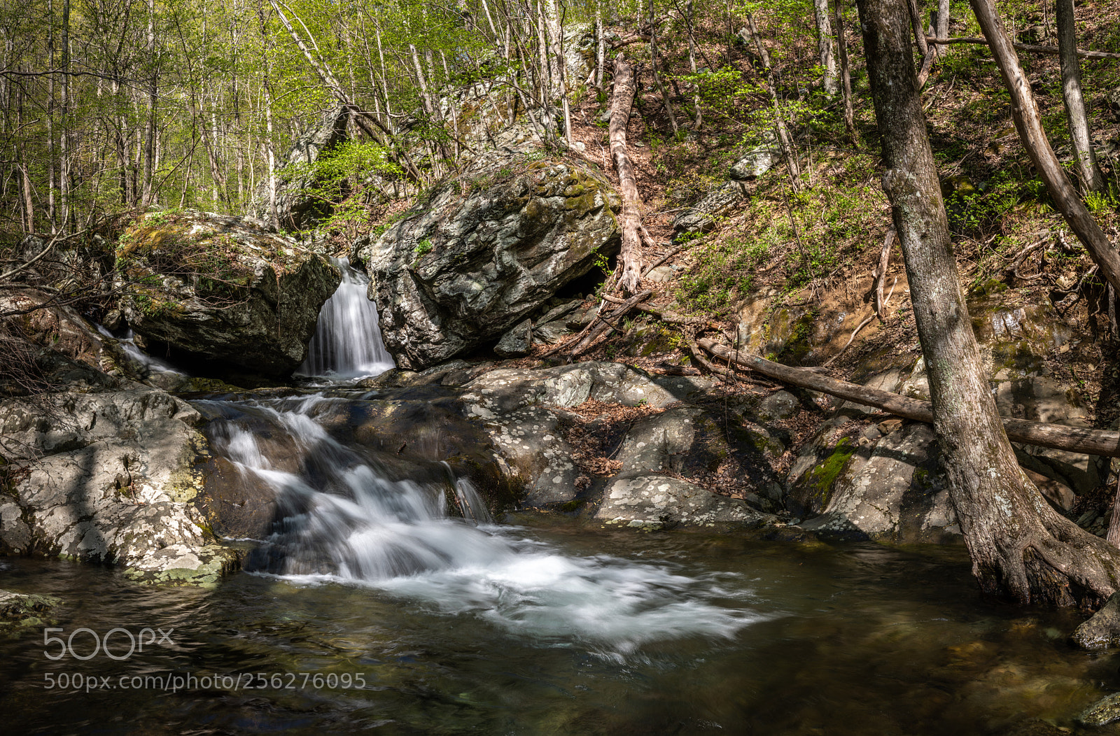 Nikon D850 sample photo. Cedar run falls photography