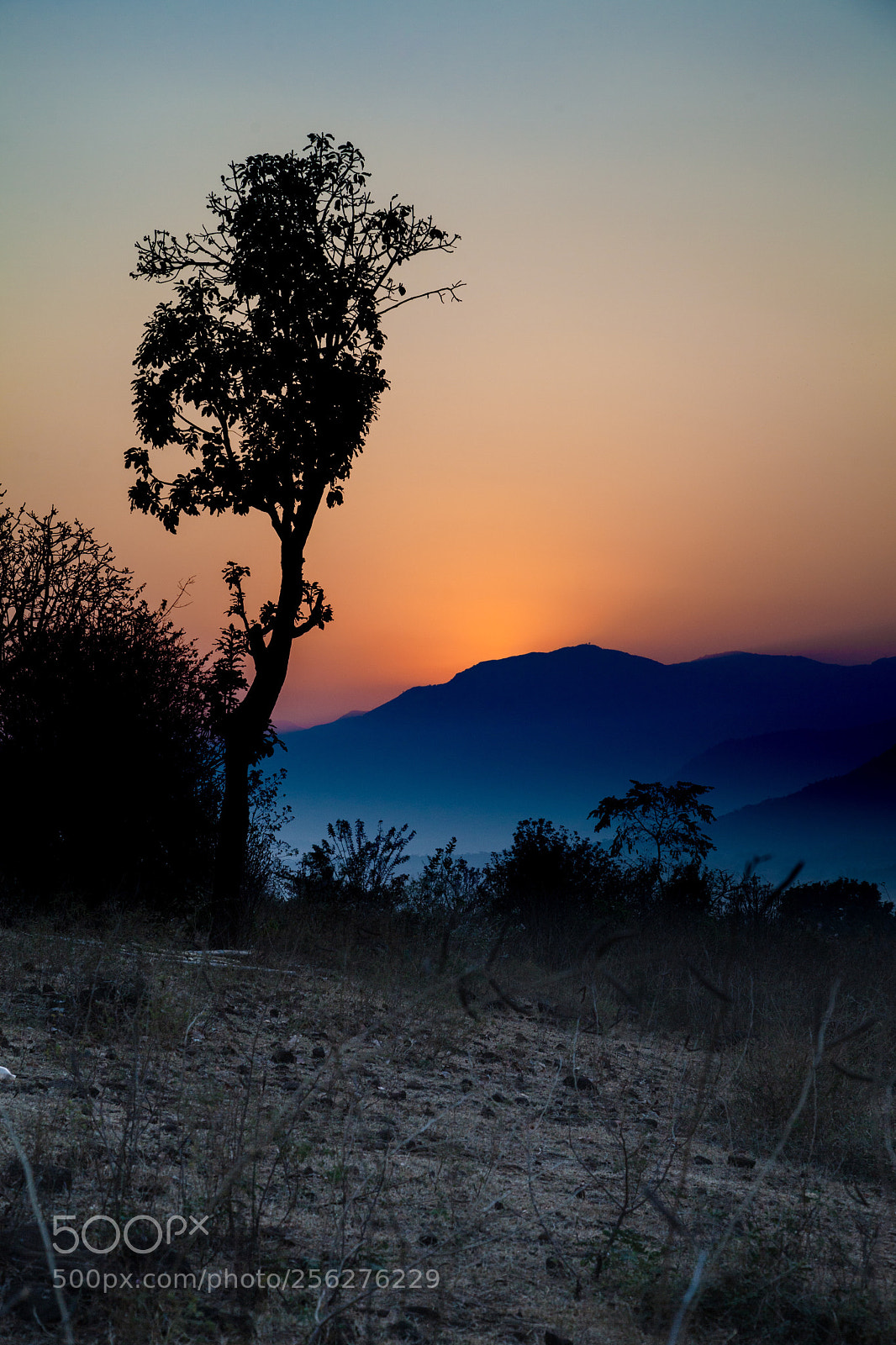 Canon EOS 5D Mark II sample photo. Dramatic dawn  photography