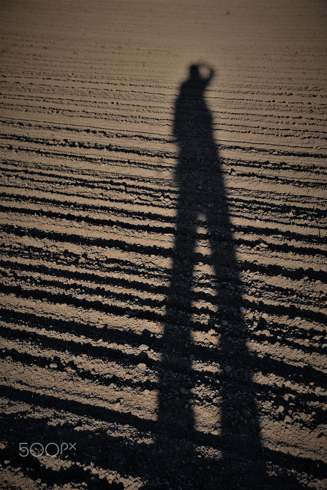 Sigma 18-250mm F3.5-6.3 DC Macro OS HSM sample photo. ...the long shadow... photography