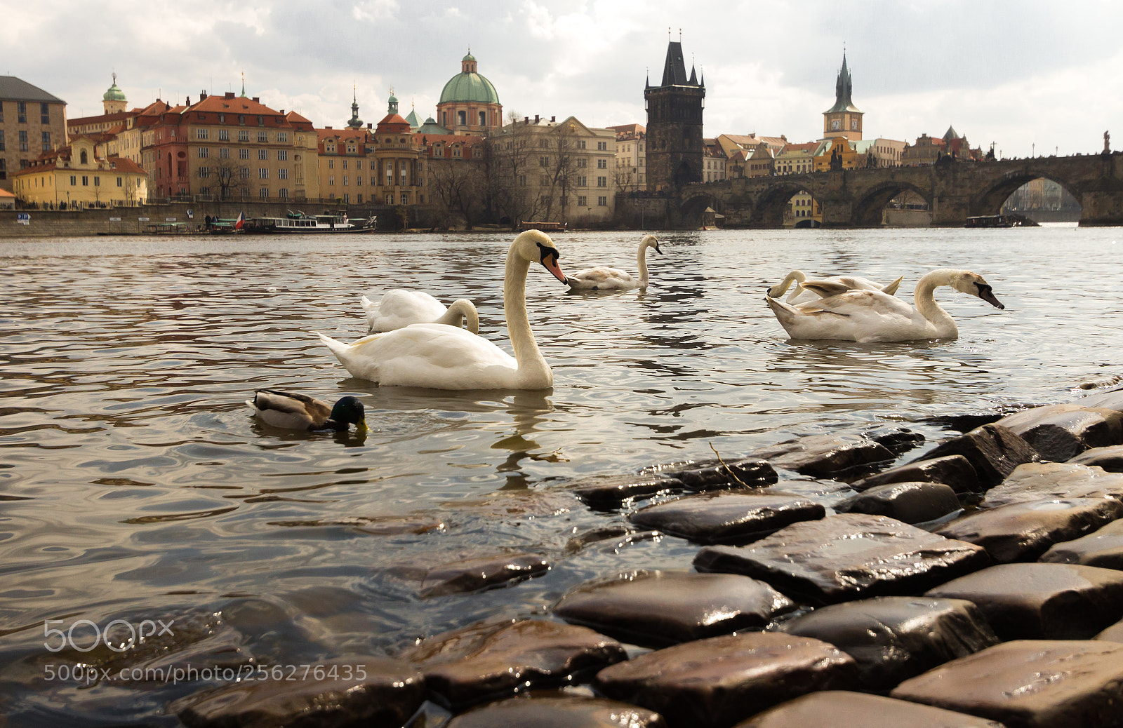 Canon EOS 600D (Rebel EOS T3i / EOS Kiss X5) sample photo. Danube river photography