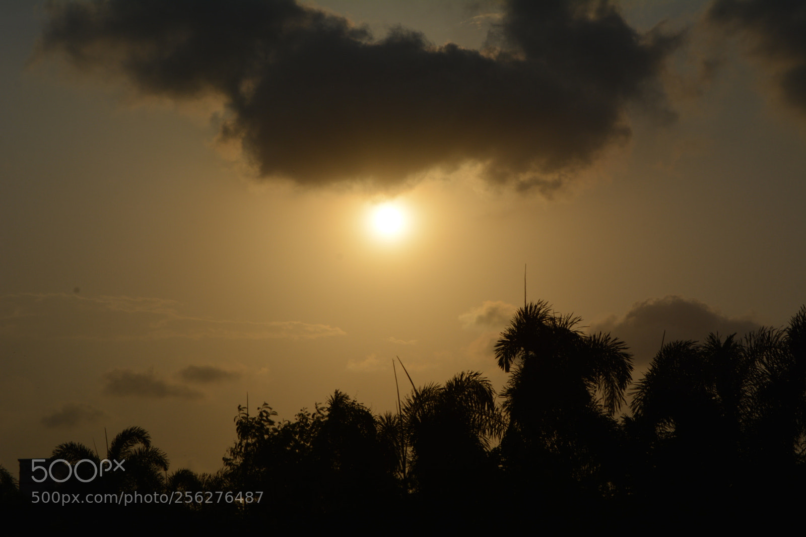Nikon D5200 sample photo. Pleasent evening click.... photography