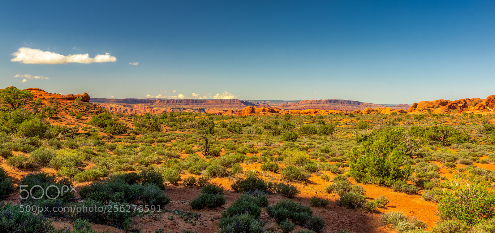 Pentax K-3 II sample photo. Arches national park photography