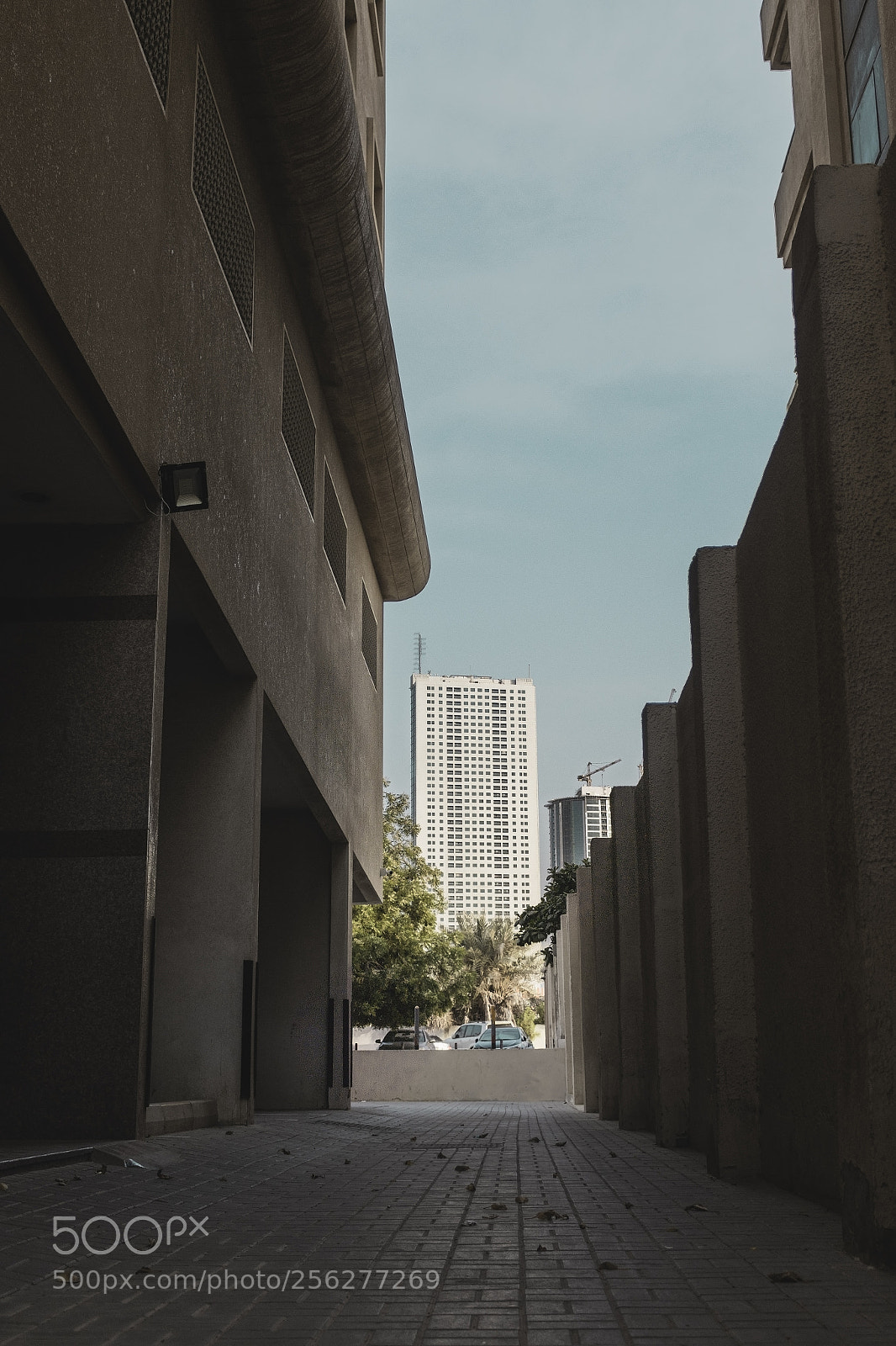 Canon EOS 70D sample photo. Right under my house photography