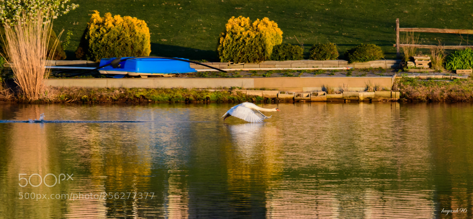 Nikon D500 sample photo. Flying home photography