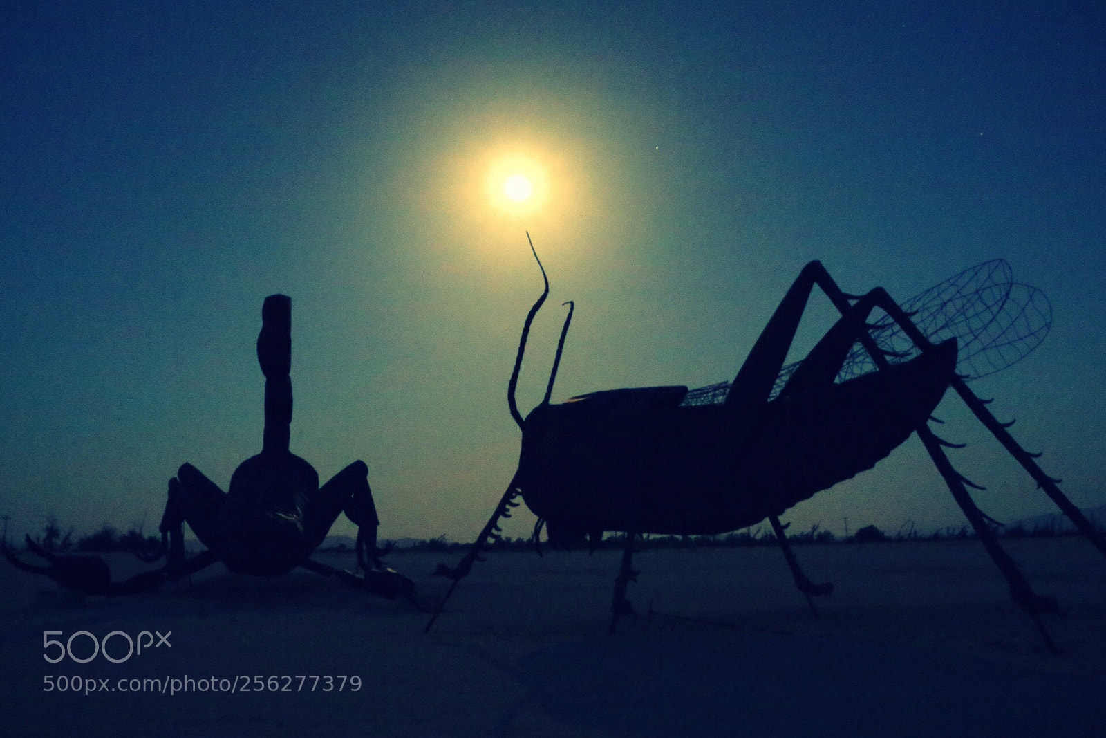 Canon EOS 650D (EOS Rebel T4i / EOS Kiss X6i) sample photo. Desert art photography