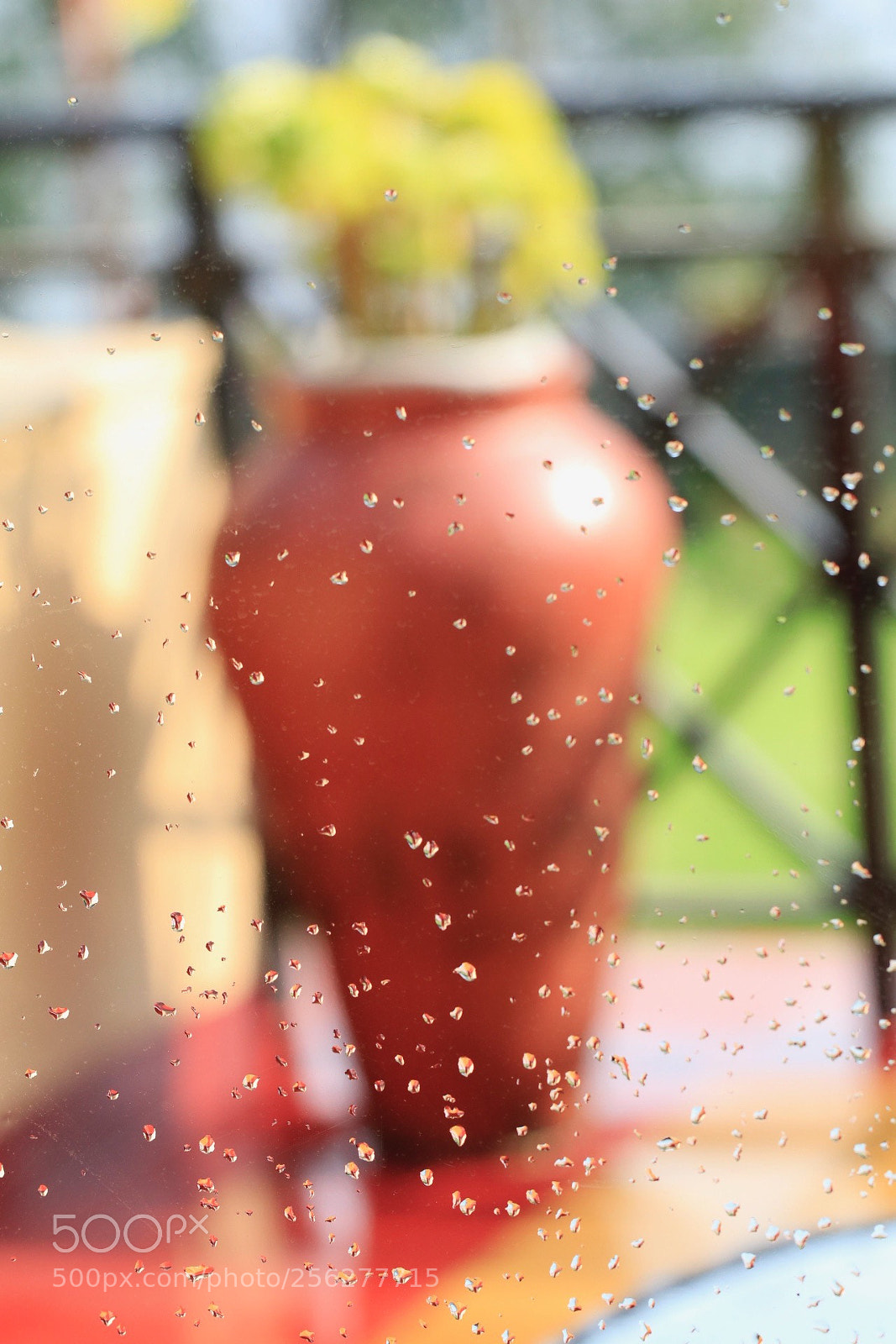 Canon EOS 80D sample photo. Rain drops photography