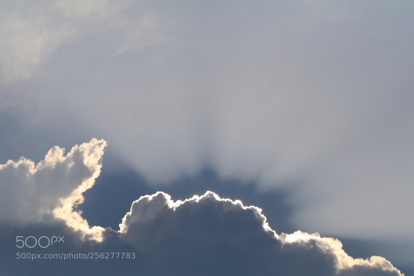 Canon EOS 80D sample photo. Silver lining  photography