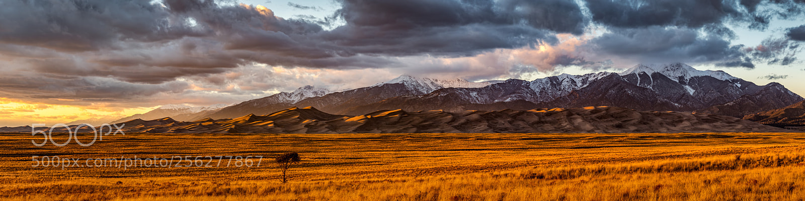 Nikon D800E sample photo. Great sand dunes on photography