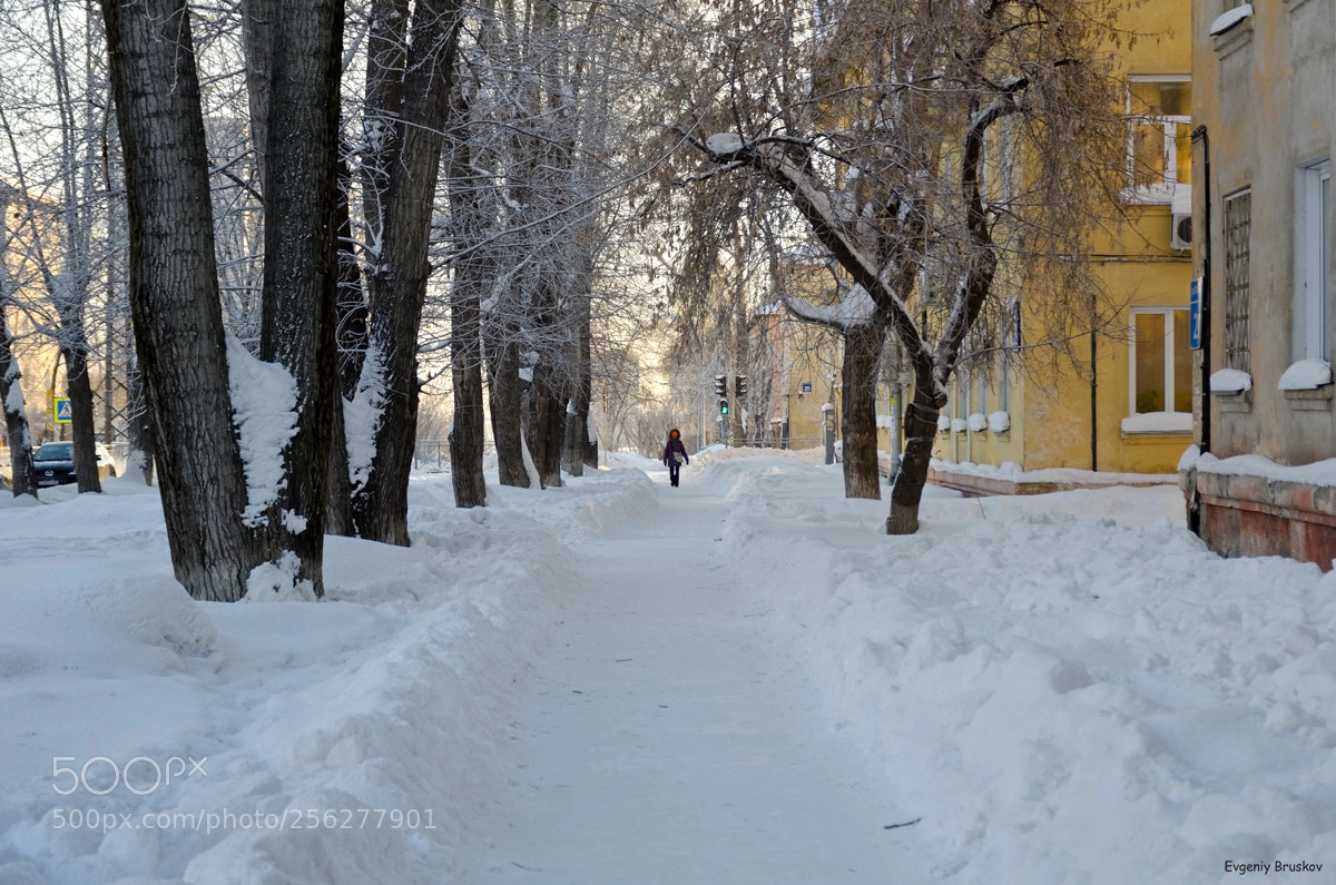 Nikon D7000 sample photo. Зима photography