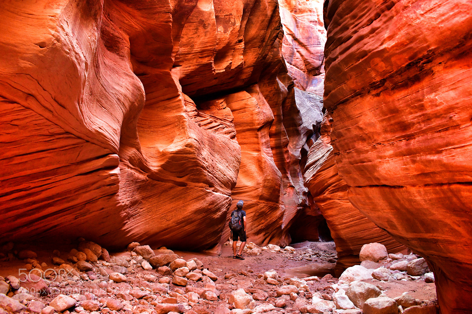 Nikon D7500 sample photo. Wire pass hiking photography