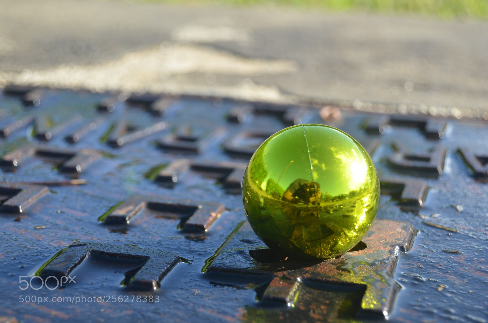 Nikon D5100 sample photo. Morning photography