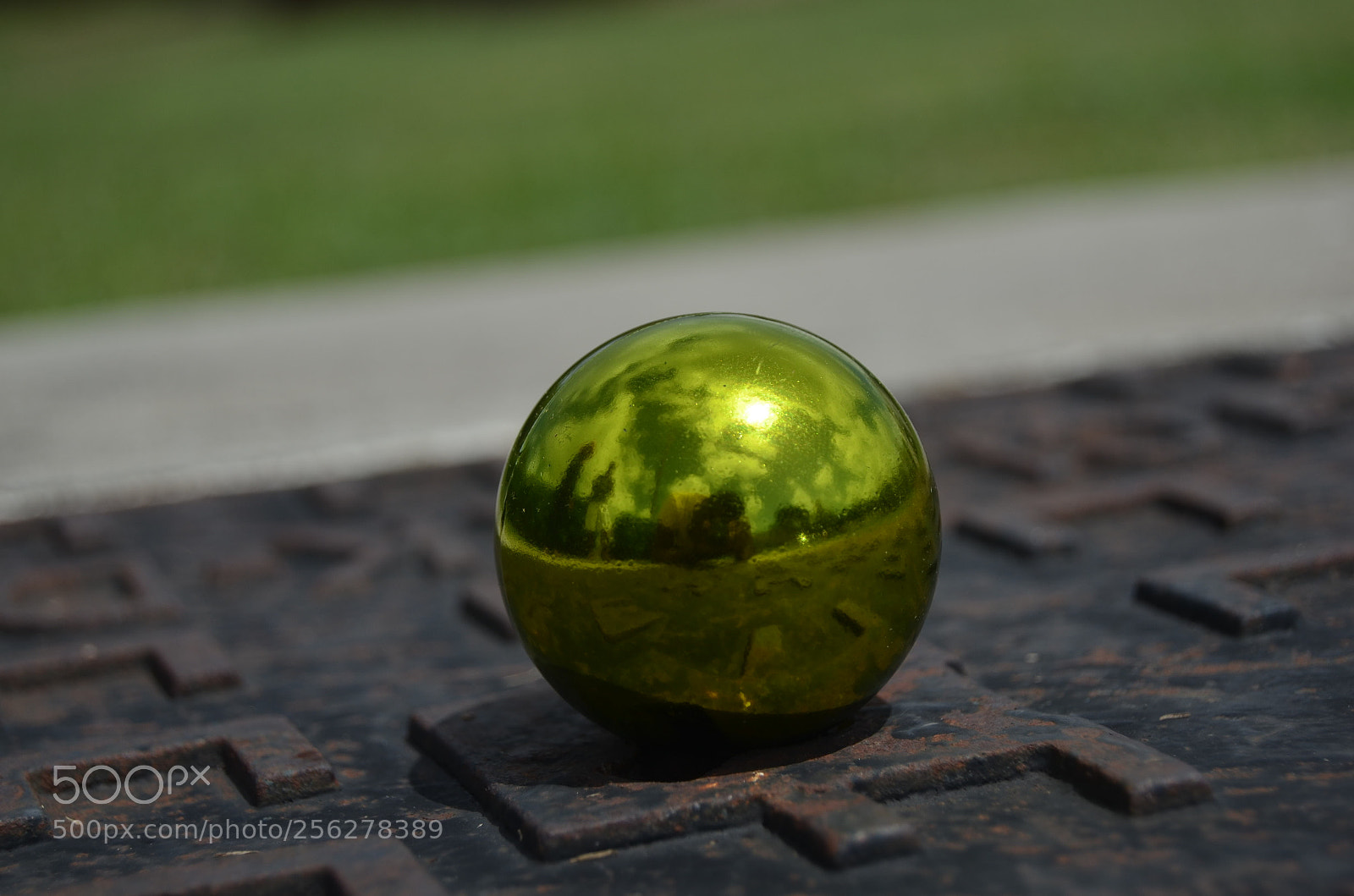 Nikon D5100 sample photo. Midday photography