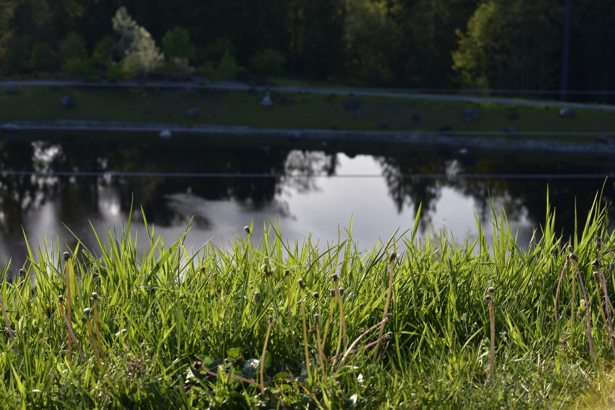 Nikon D7200 sample photo. Green screen photography