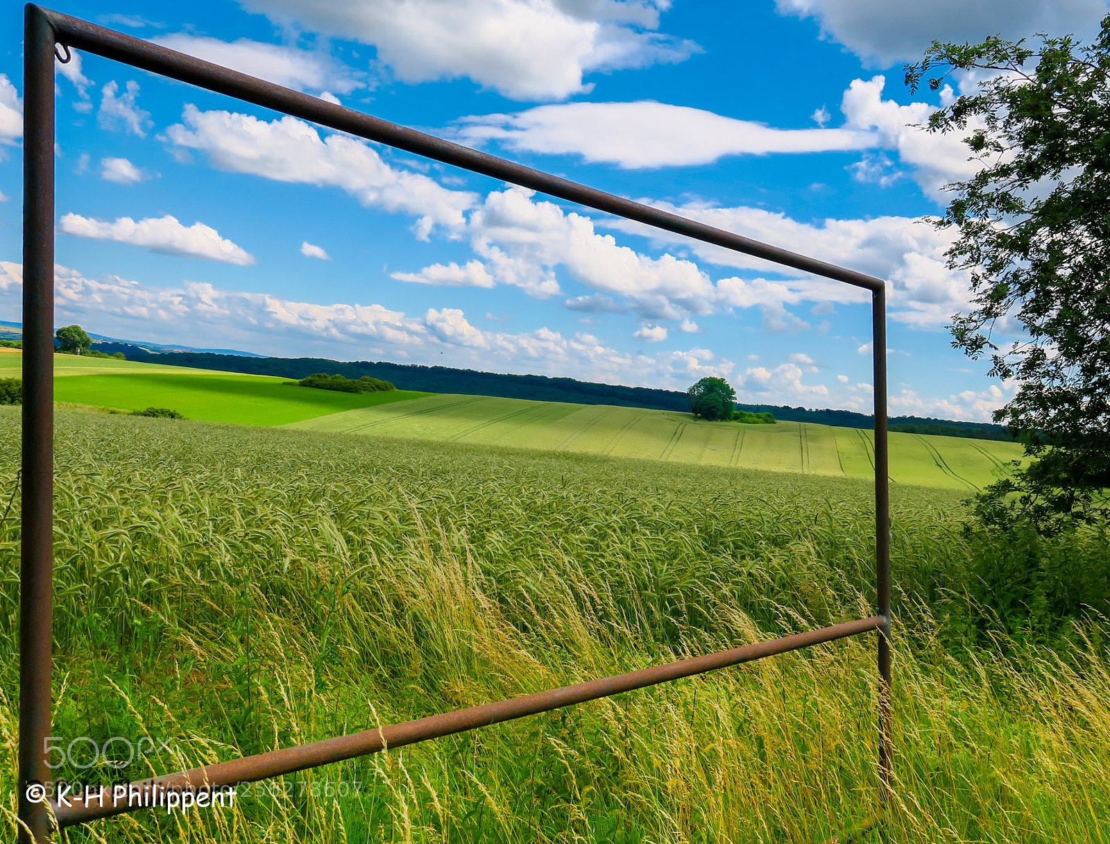 Canon PowerShot G3 X sample photo. Nordhessen germany , summer photography