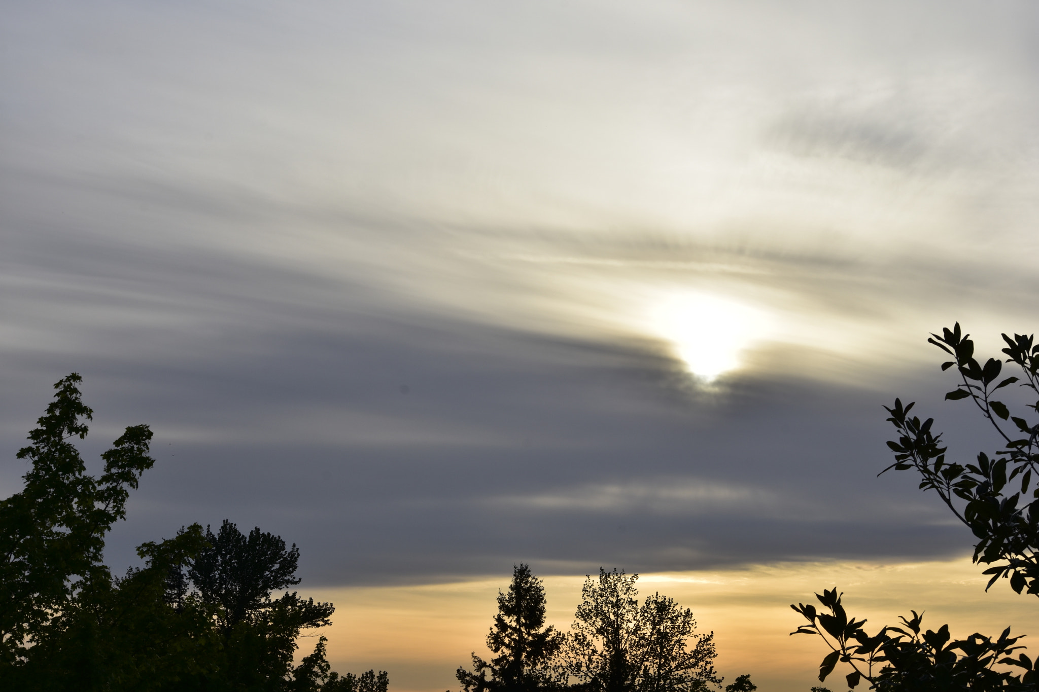 Nikon D7200 sample photo. Sunny side up photography