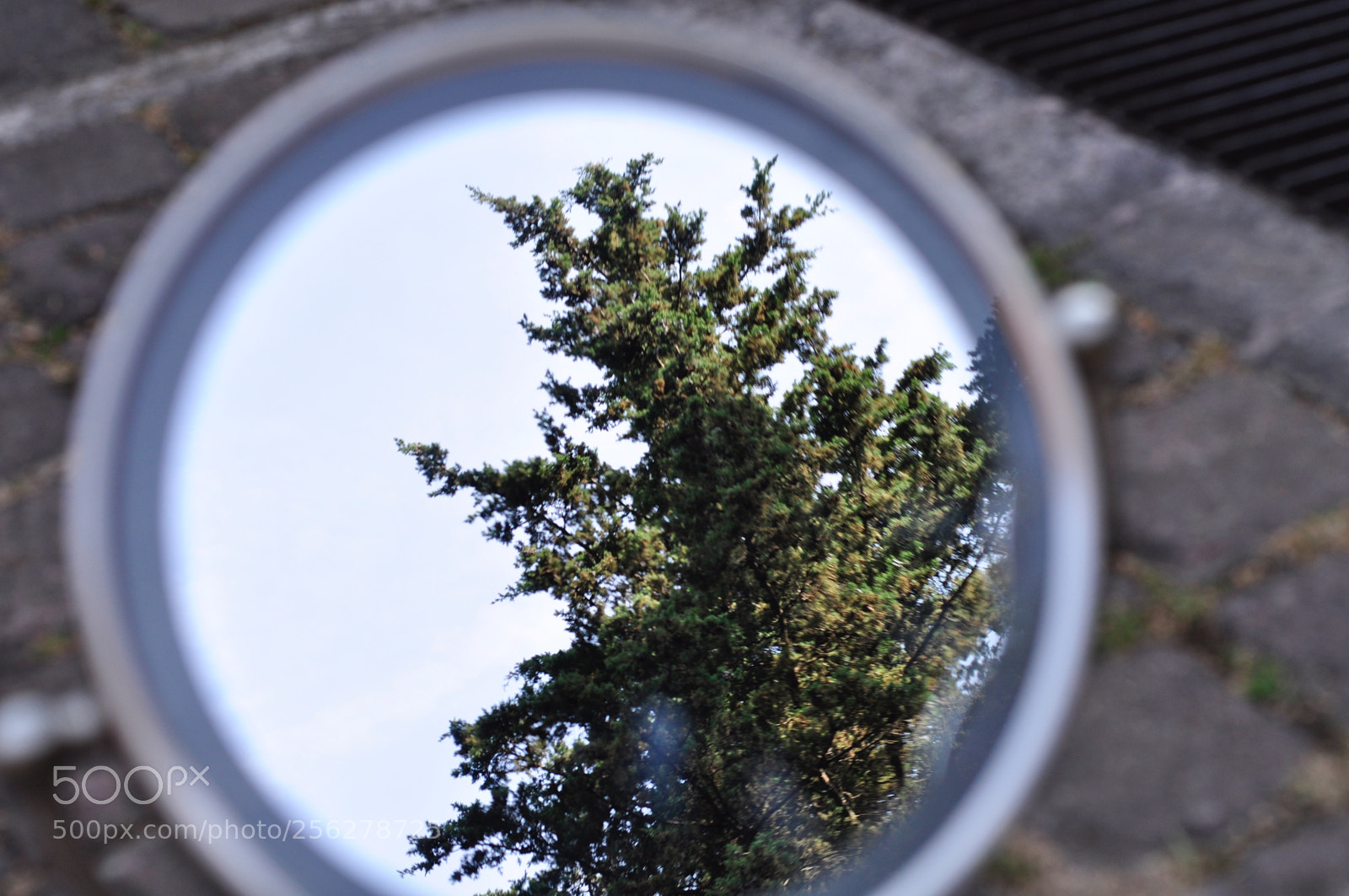 Nikon D5000 sample photo. Reflejo photography