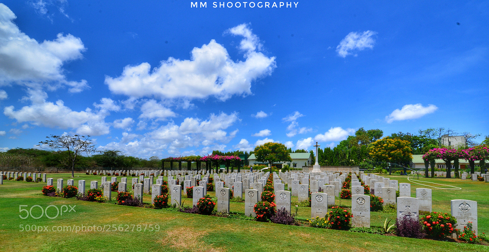 Nikon D610 sample photo. The land of warriors photography