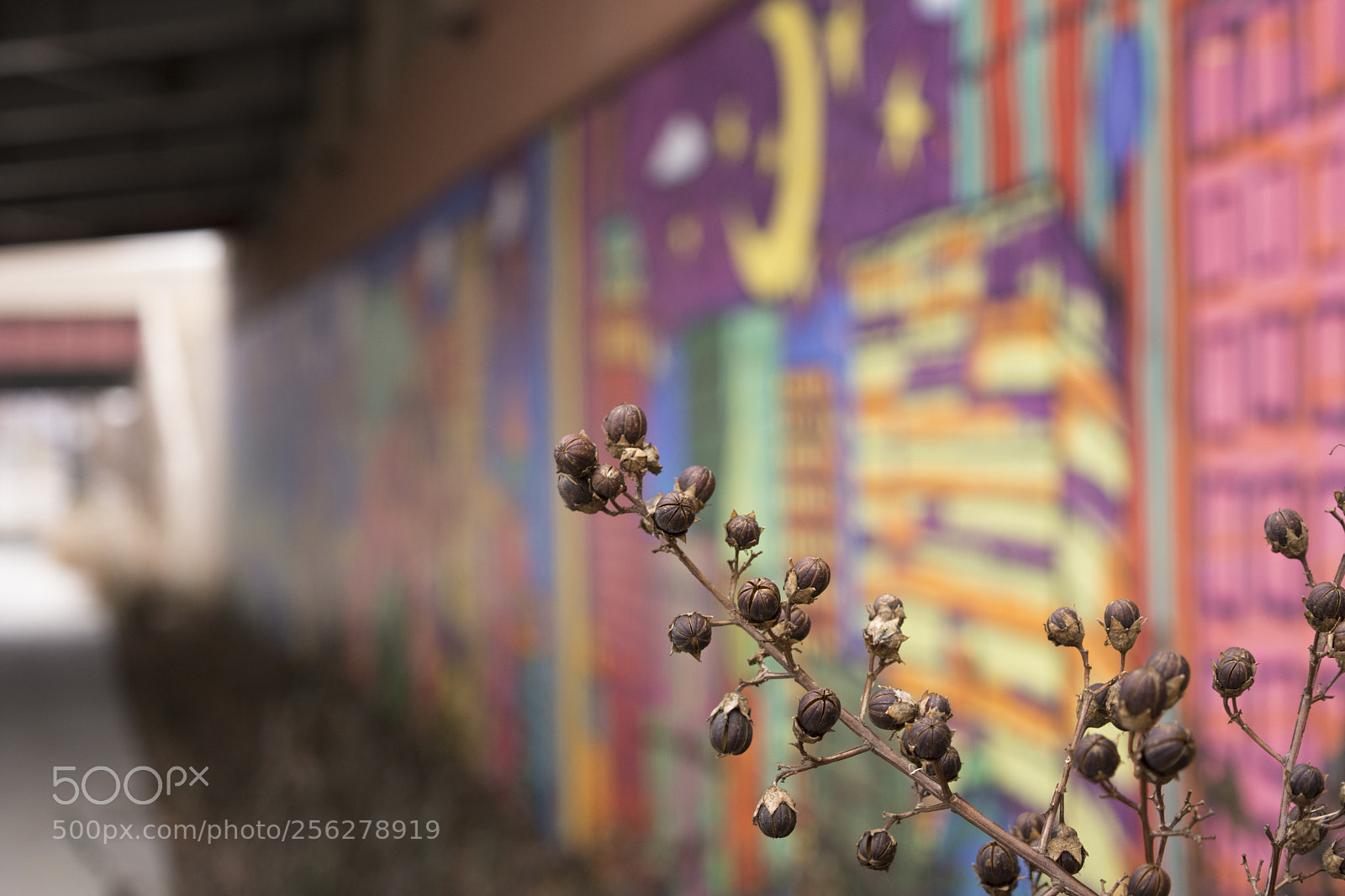 Nikon D7200 sample photo. Edited photography
