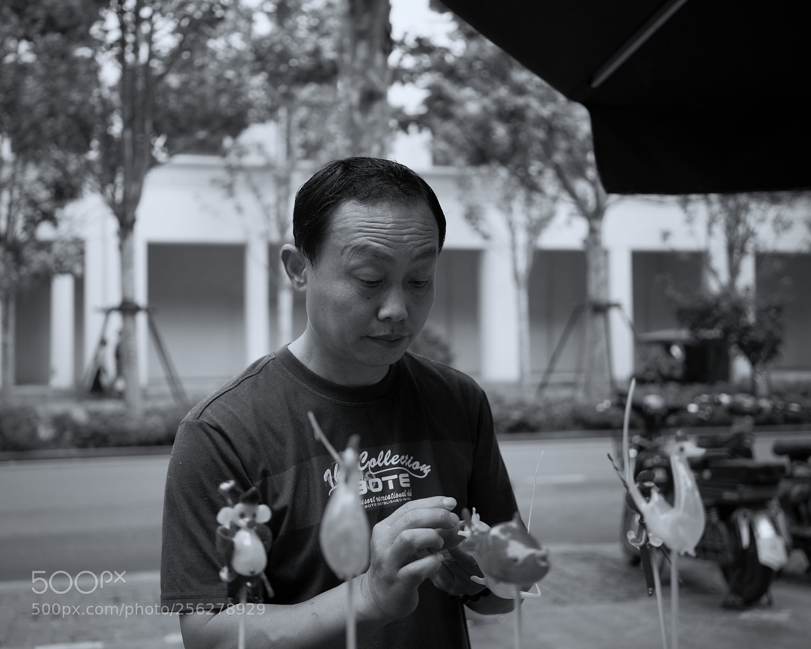 Sony a7 II sample photo. Untitled photography