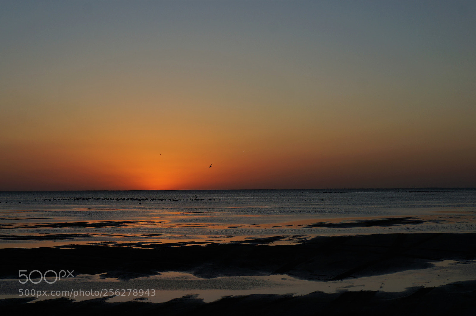 Sony Alpha NEX-5R sample photo. South padre sunset photography