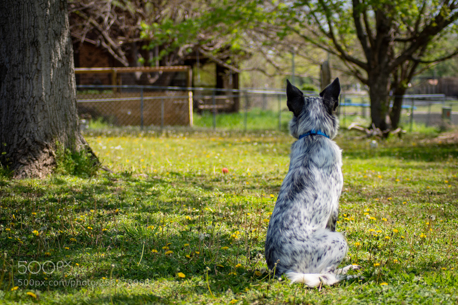 Nikon D7200 sample photo. Dsc photography