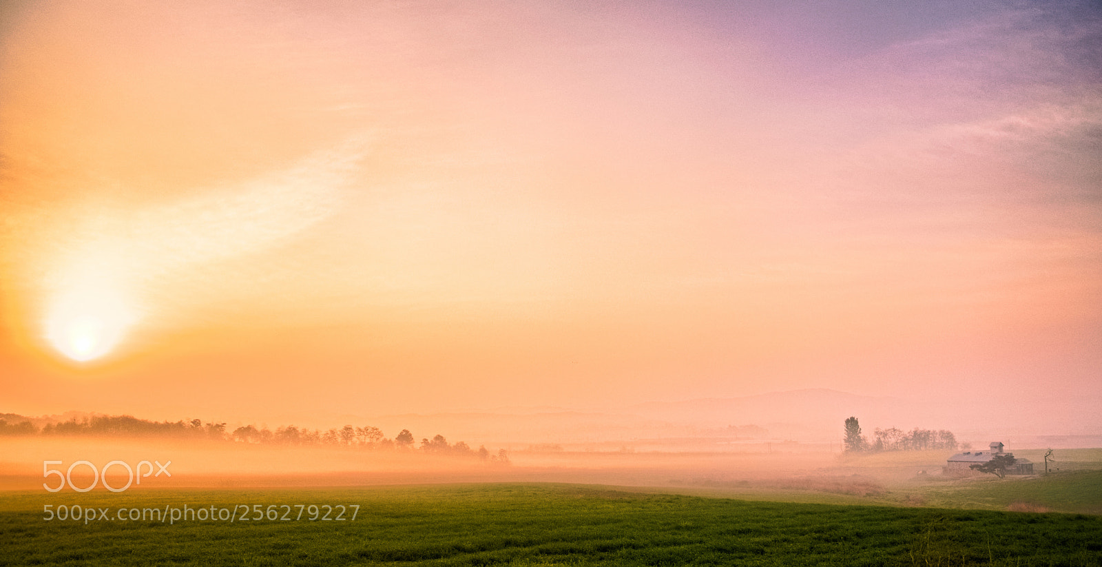 Nikon D5500 sample photo. A morning mist photography