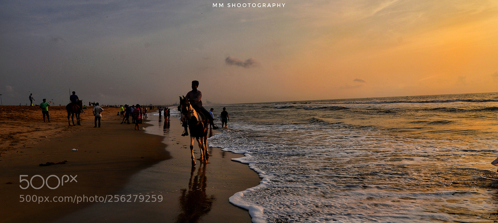 Nikon D610 sample photo. The morning ride photography