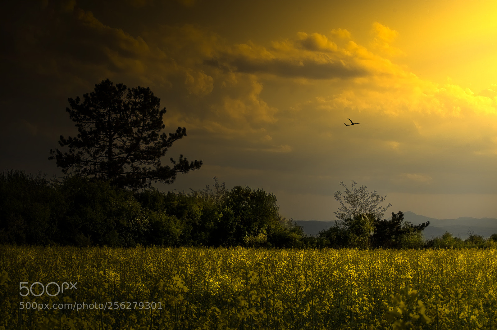 Nikon D3200 sample photo. Landscape photography