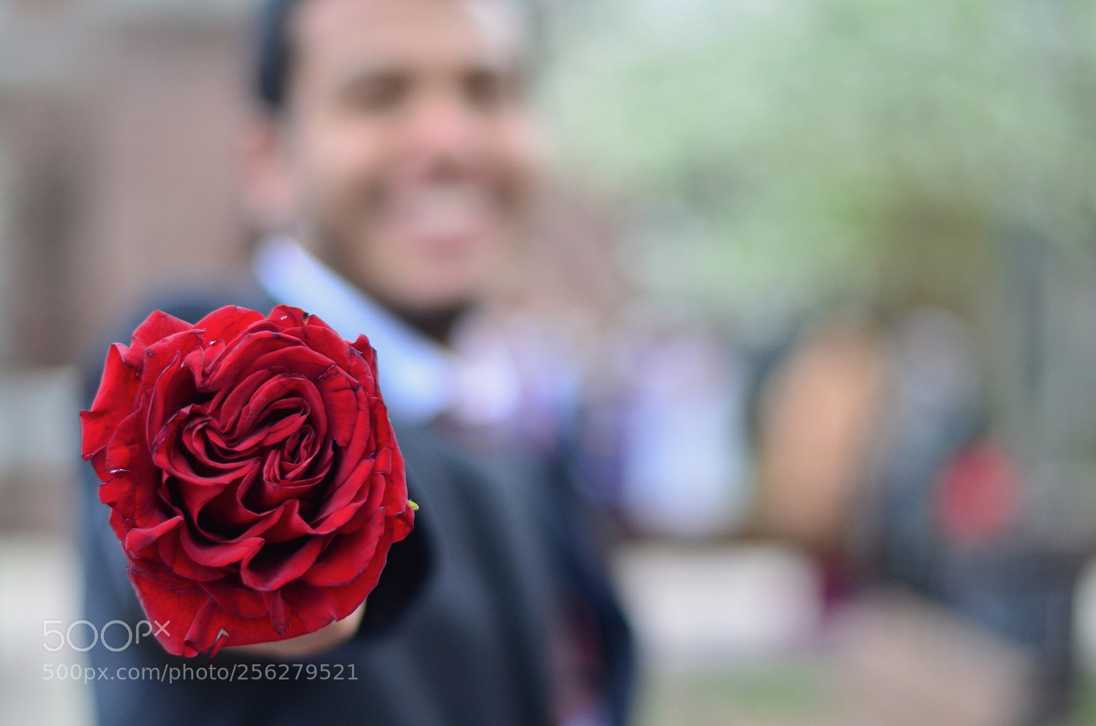 Nikon D5100 sample photo. A red flower photography