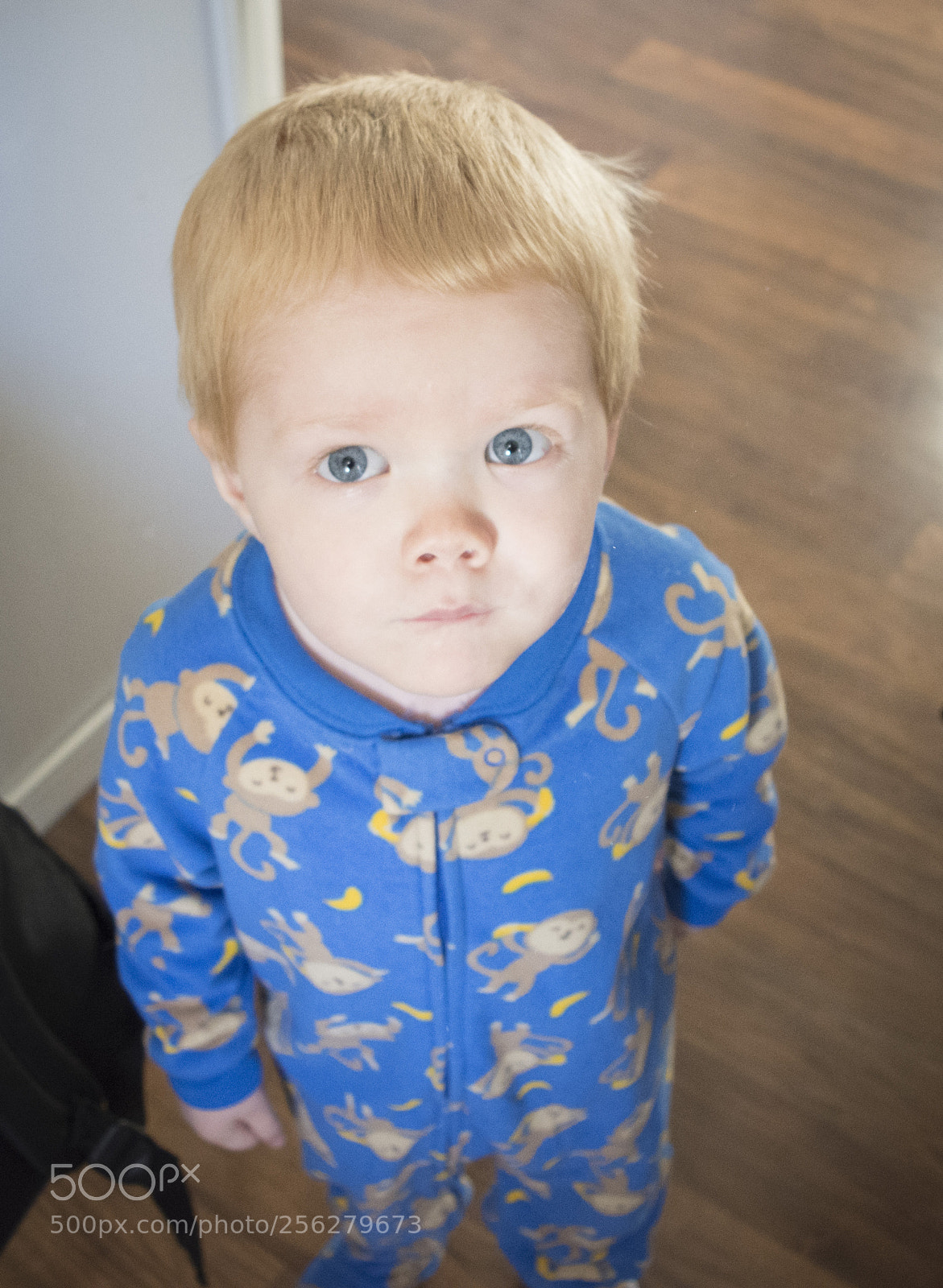 Nikon D7200 sample photo. Dsc photography