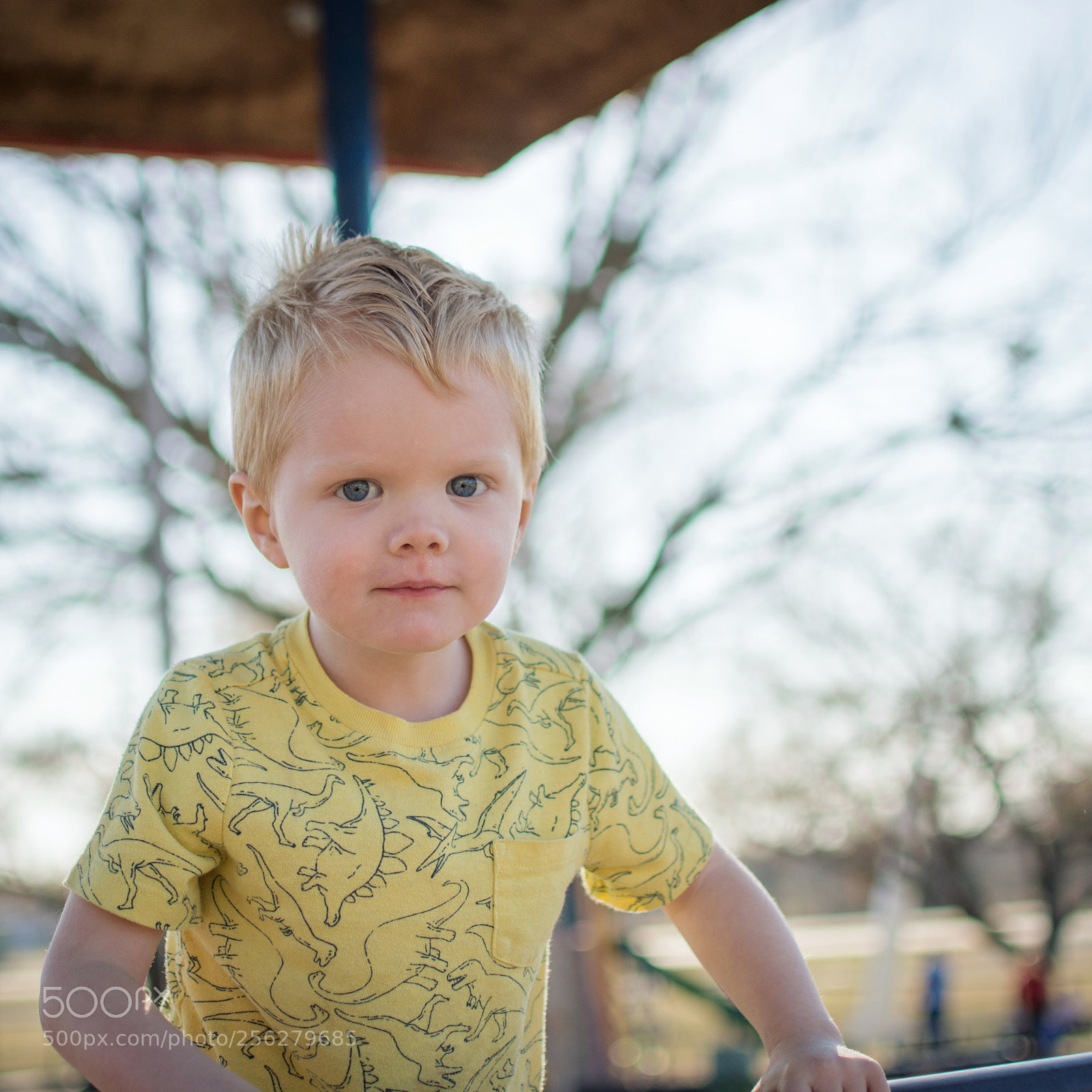 Nikon D7200 sample photo. Img photography