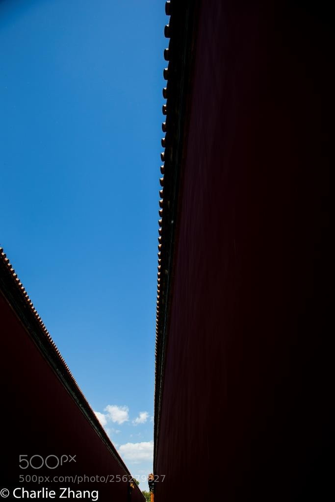 Canon EOS-1D X sample photo. Untitled photography