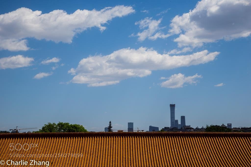 Canon EOS-1D X sample photo. Untitled photography