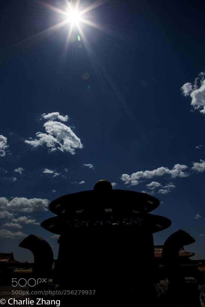 Canon EOS-1D X sample photo. Untitled photography