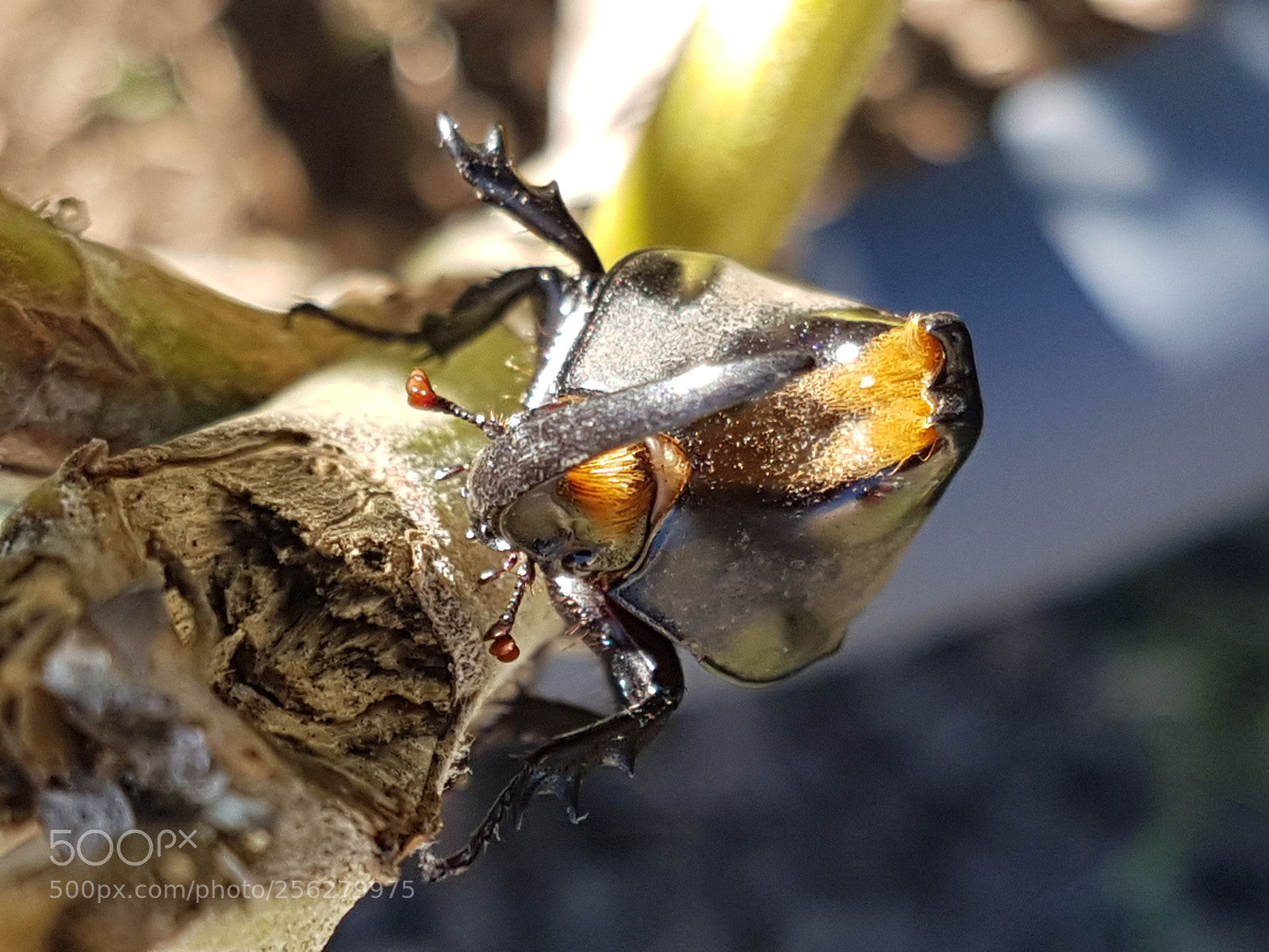 Samsung Galaxy S7 Edge sample photo. Untitled photography