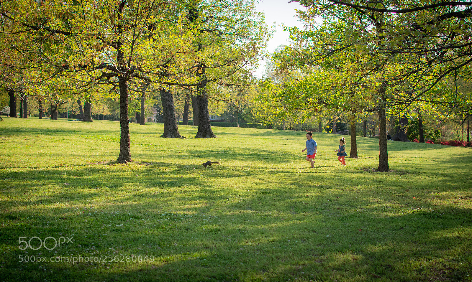 Nikon D7200 sample photo. Kids chasing a squirrel photography