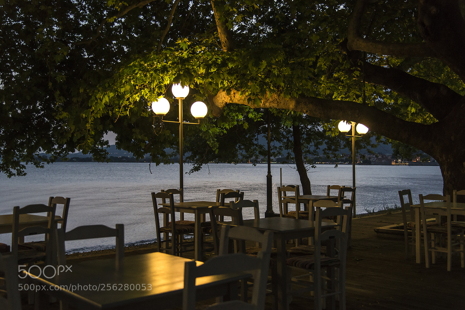 Nikon D800 sample photo. ...light.... photography