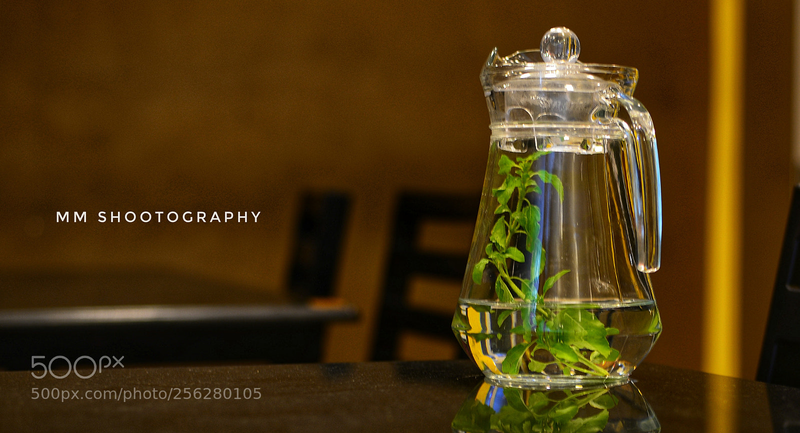 Nikon D610 sample photo. The nature drink photography