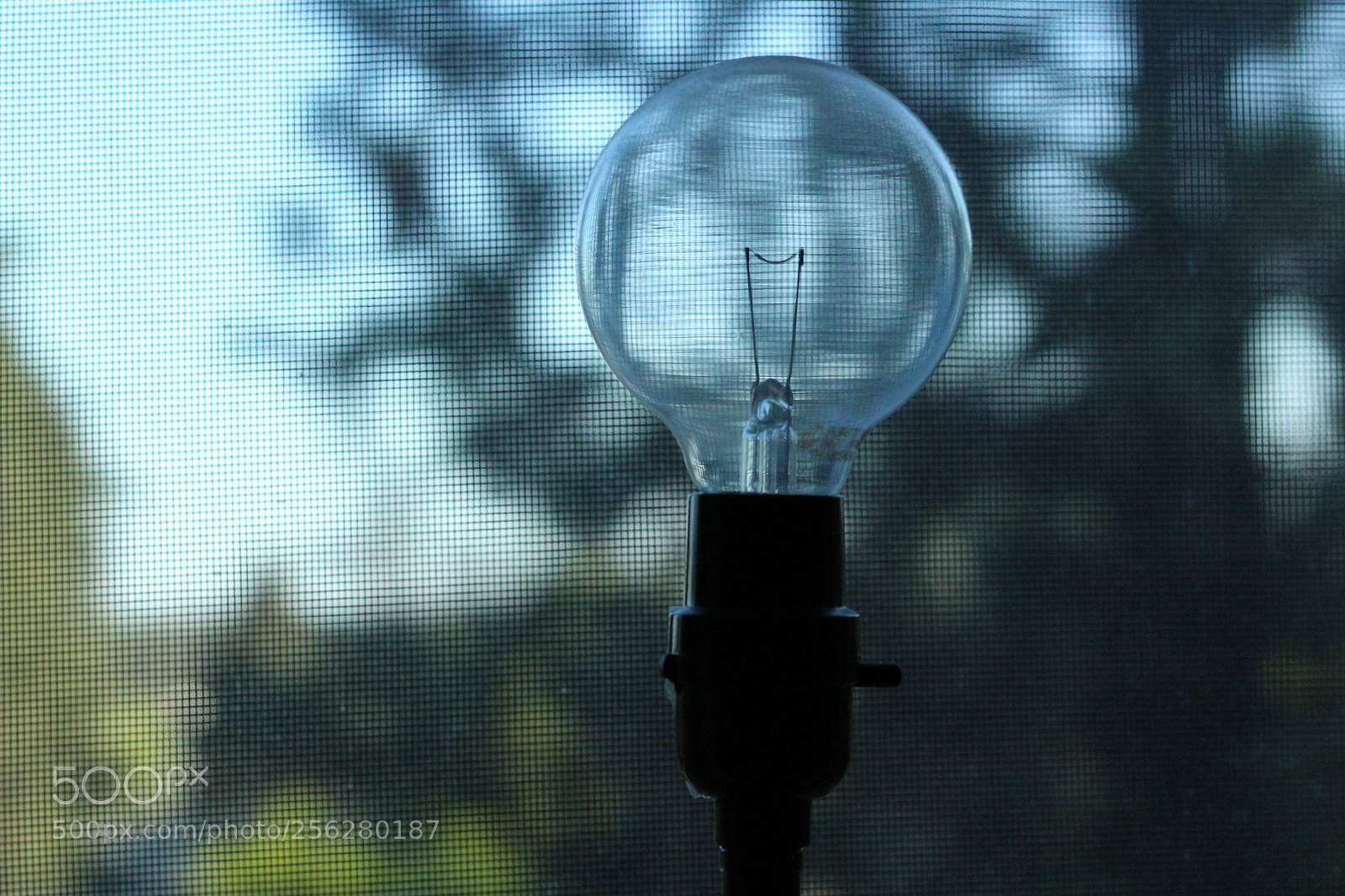 Canon EOS 1200D (EOS Rebel T5 / EOS Kiss X70 / EOS Hi) sample photo. Different av, ss, iso photography