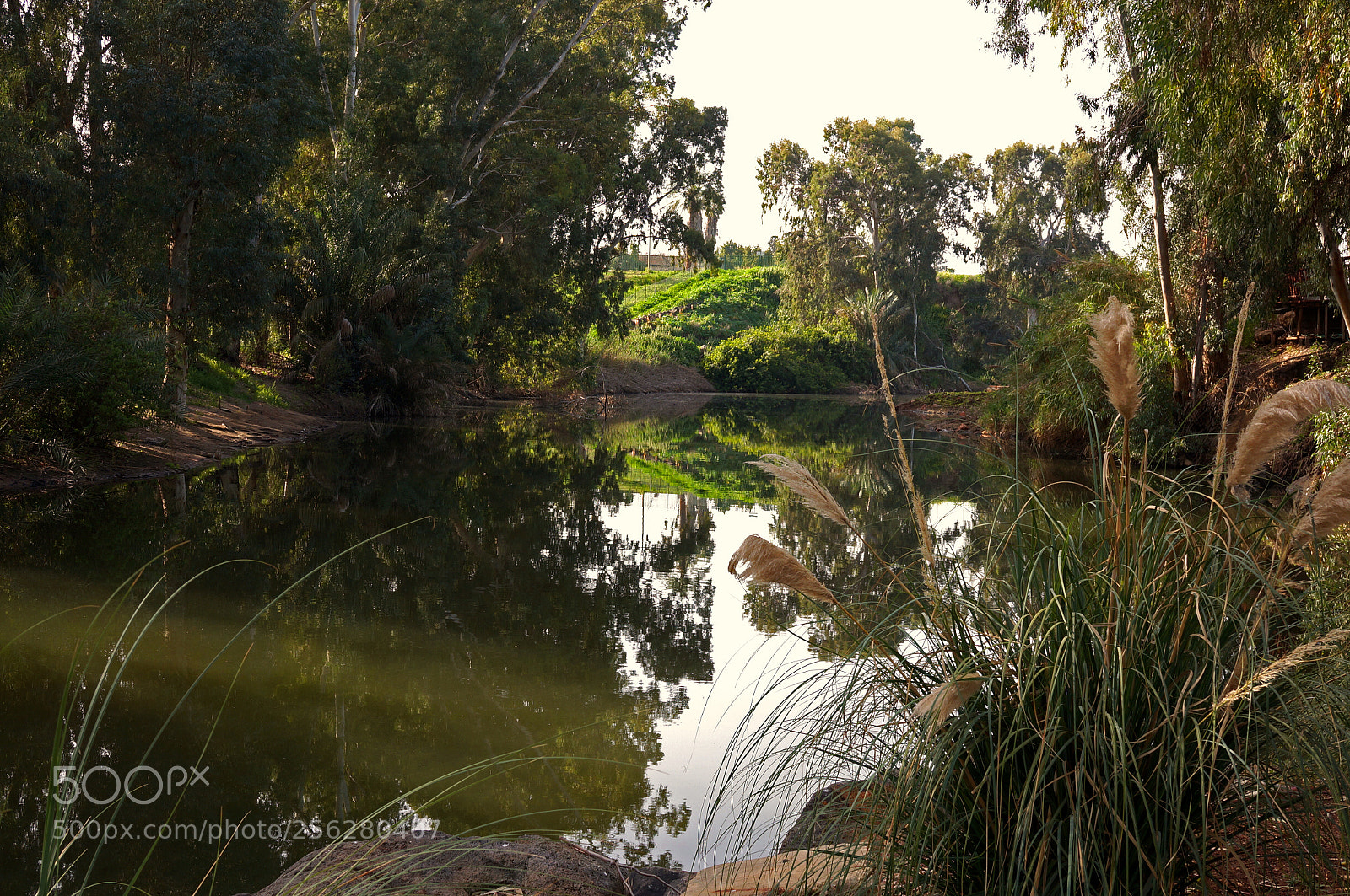 Sony Alpha NEX-5R sample photo. The jordan river photography