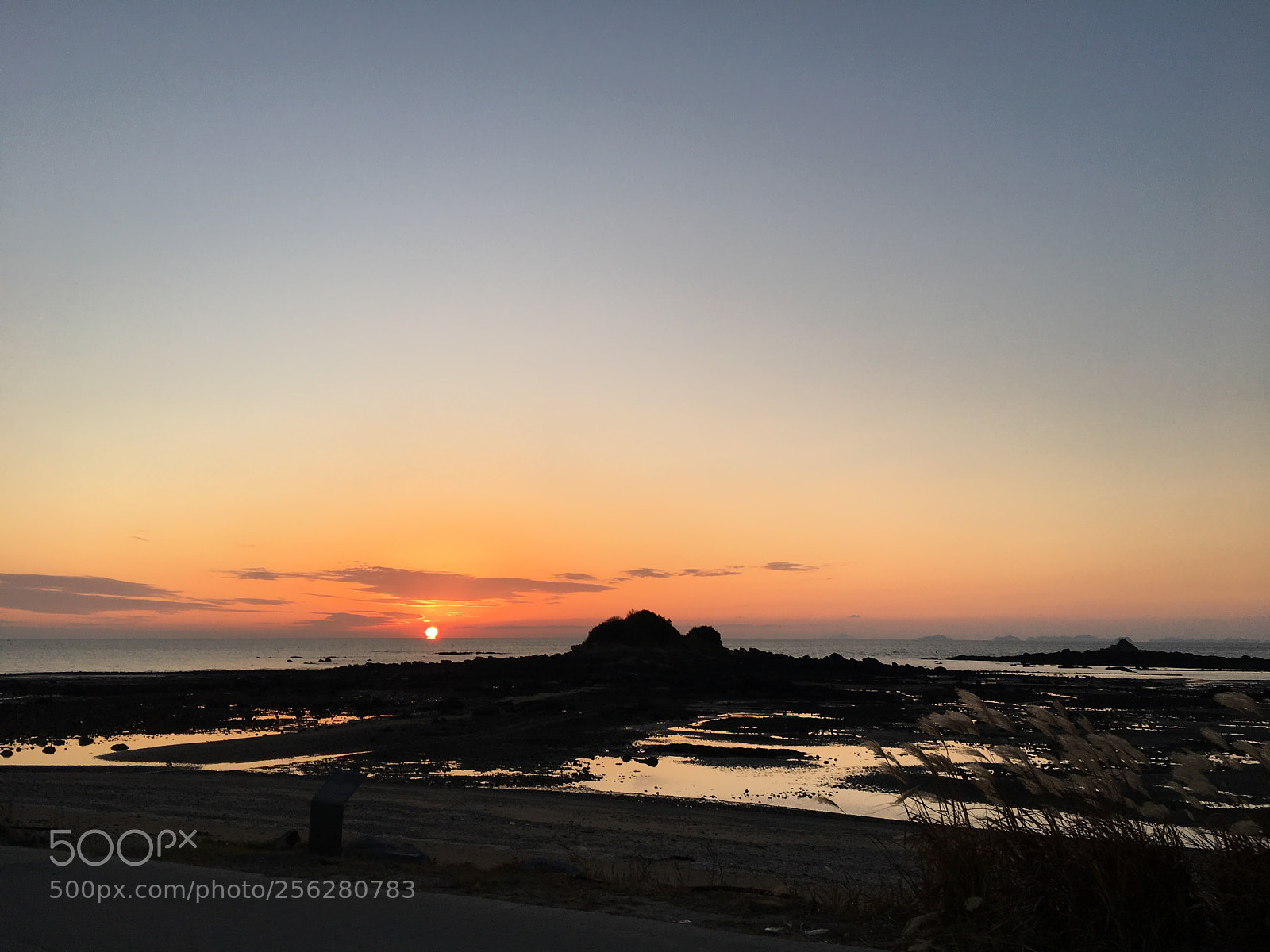 Apple iPhone 6s sample photo. Sunset in the yellow photography