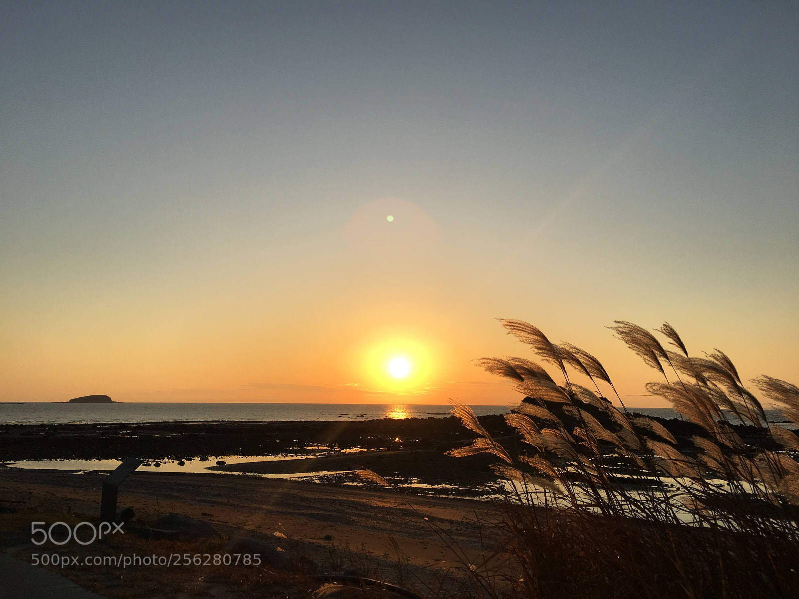 Apple iPhone 6s sample photo. Sunset in the yellow photography