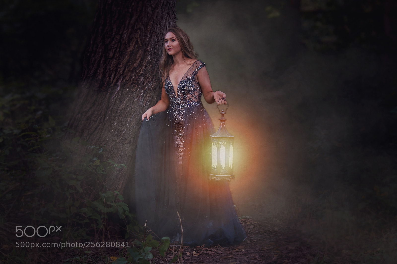 Canon EOS 70D sample photo. Into the woods photography