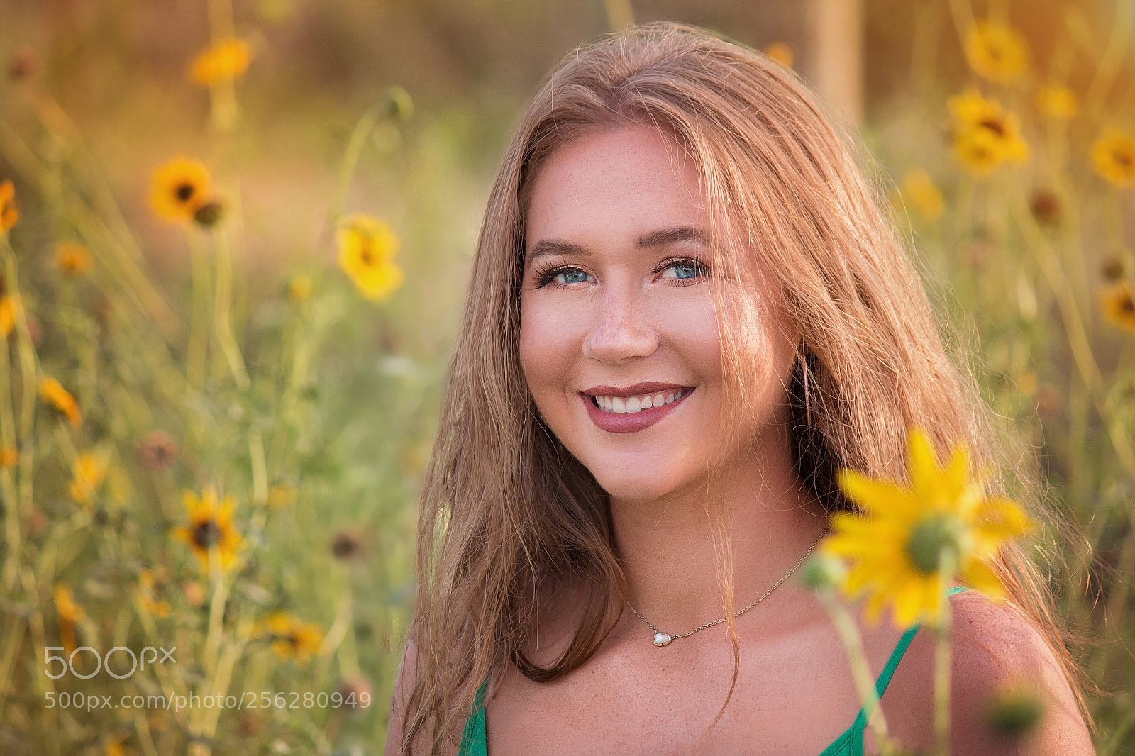 Canon EOS 70D sample photo. Where the wildflowers grow photography