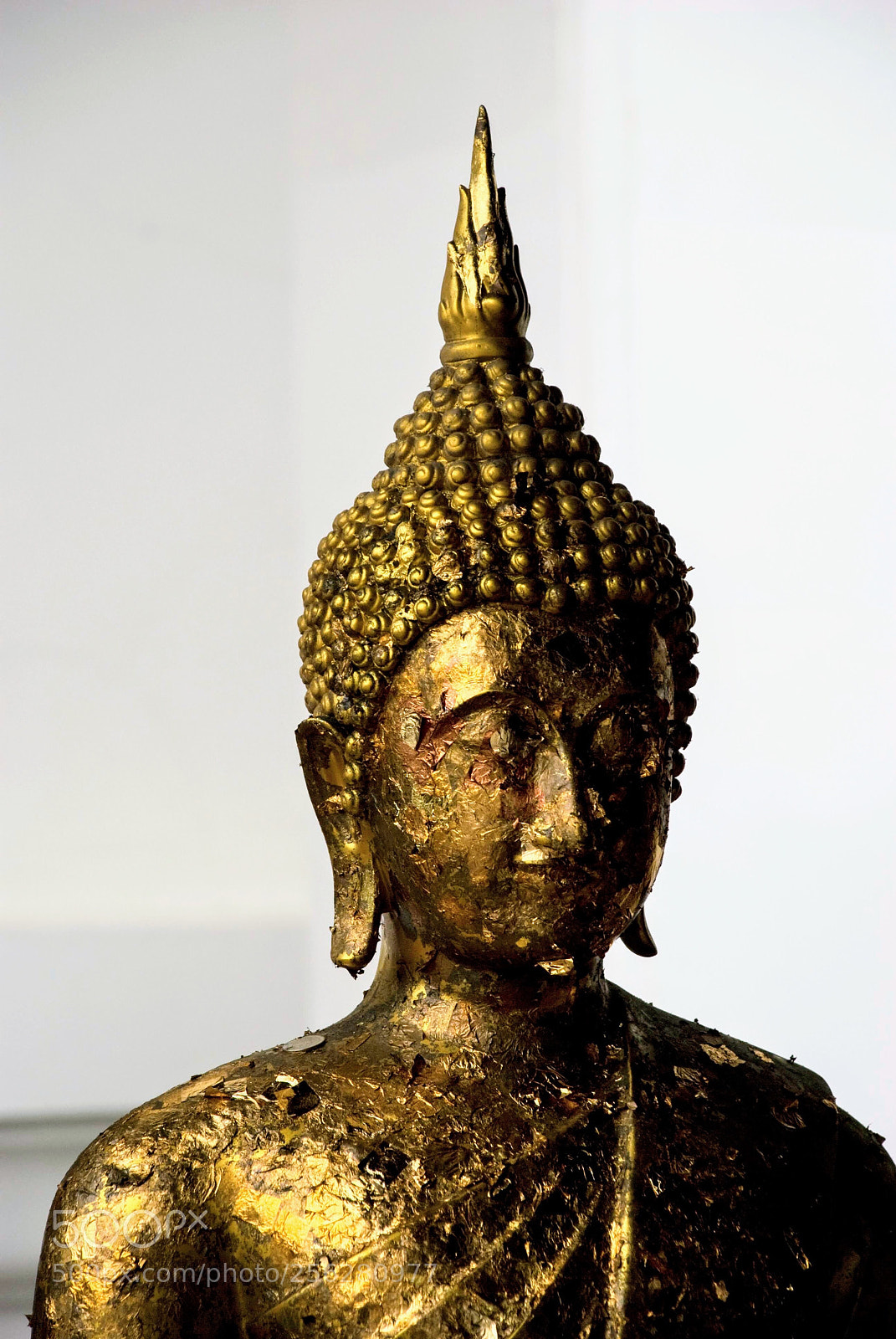 Nikon D80 sample photo. Golden buddha statue  photography