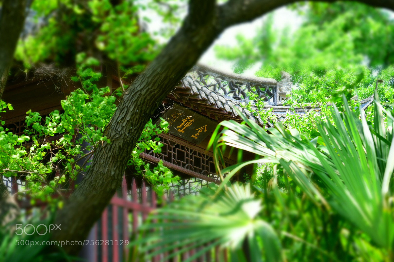 Nikon D750 sample photo. Untitled photography
