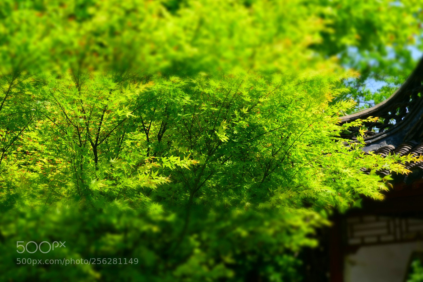 Nikon D750 sample photo. Untitled photography