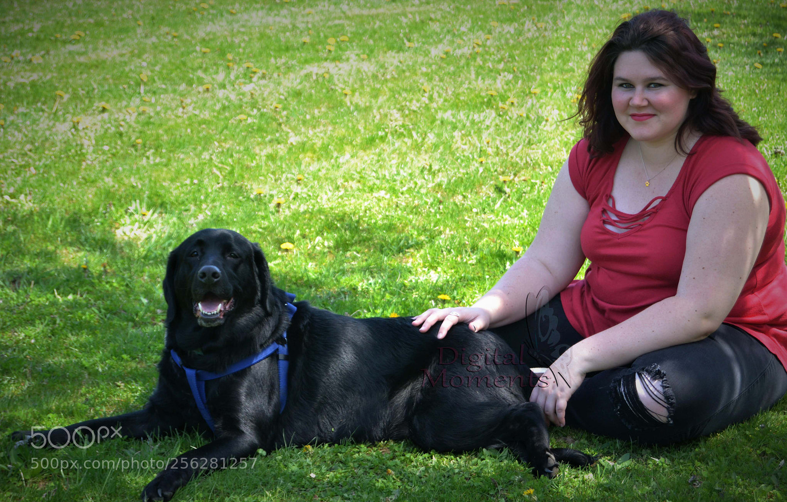 Nikon D3100 sample photo. Fur baby & mom photography