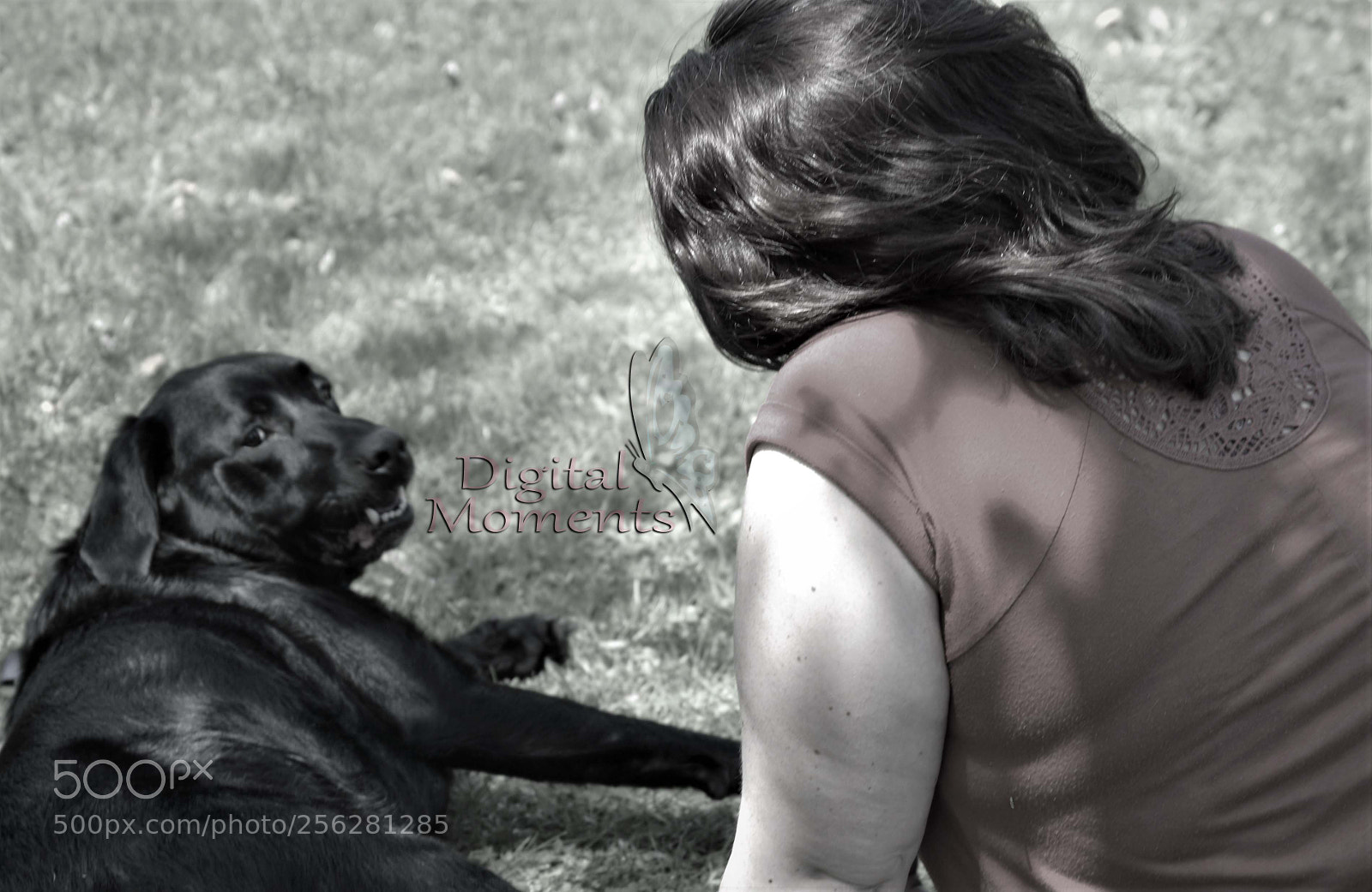 Nikon D3100 sample photo. Fur baby & mom photography